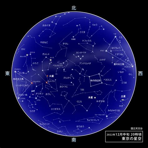 12月24日 星座